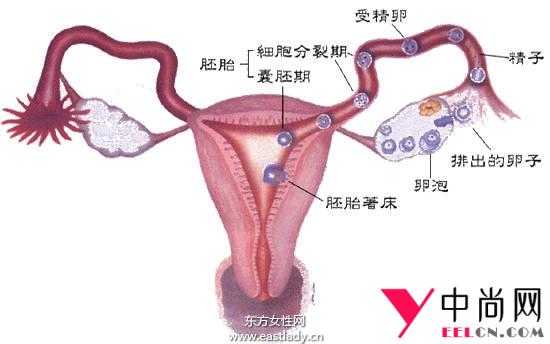 年纪大怀不上孩子怎么办 高龄妈妈小心不孕不育